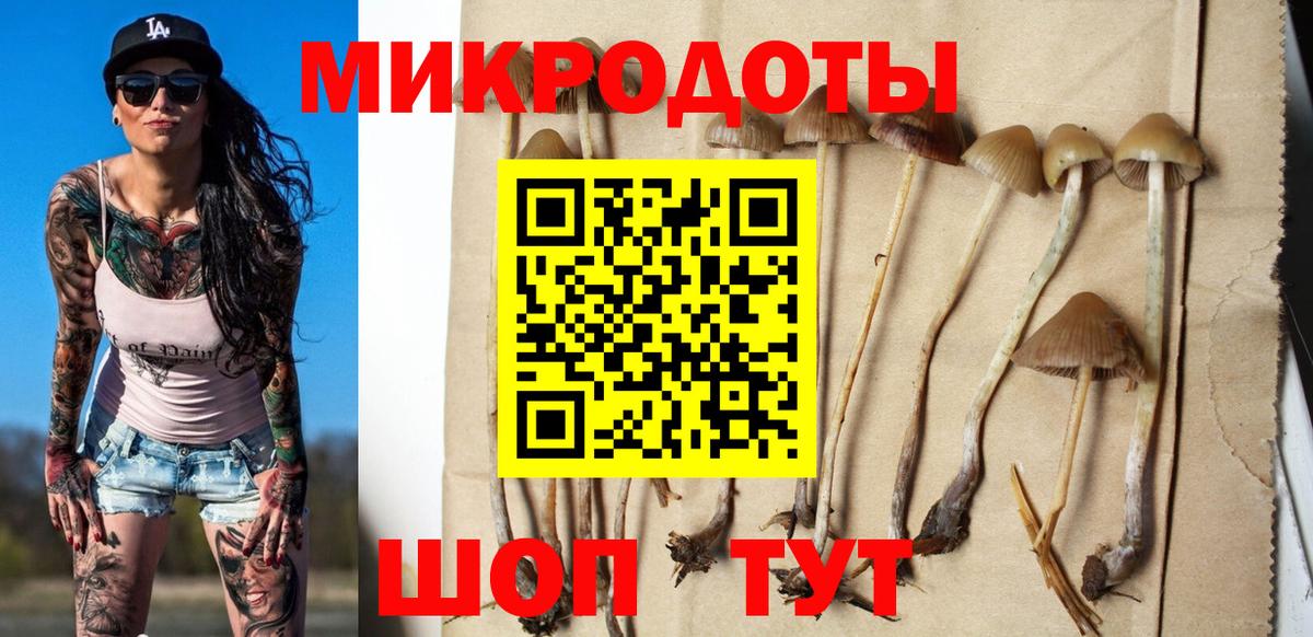 Киселёвск  Псилоцибиновые грибы прущие грибы  Вход с VPN 